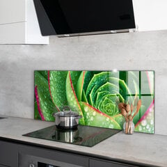 Klaasist seinaplaat pliidile, Mahlane Skalniku roheline aed, 125x50cm цена и информация | Комплектующие для кухонной мебели | kaup24.ee