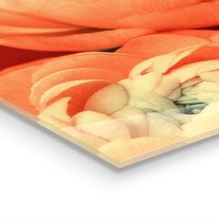 Klaasist seinaplaat pliidile, Oranž Buttercup Lill, 125x50cm цена и информация | Комплектующие для кухонной мебели | kaup24.ee