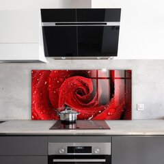 Klaasist seinaplaat pliidile, Kastetilgad punasel roosil, 140x70cm цена и информация | Комплектующие для кухонной мебели | kaup24.ee