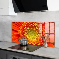 Klaasist seinaplaat pliidile, Oranž gerbera lill, 140x70cm hind ja info | Köögimööbli tarvikud | kaup24.ee