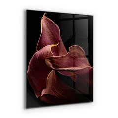 Klaasist seinaplaat pliidile, Elegantne õrn leht, 60x80cm цена и информация | Комплектующие для кухонной мебели | kaup24.ee