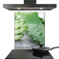 Klaasist seinaplaat pliidile, Aloe Aloe Vera taim, 60x80cm цена и информация | Комплектующие для кухонной мебели | kaup24.ee