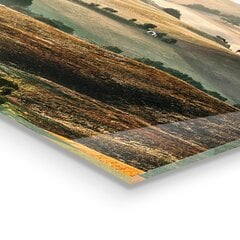 Klaasist seinaplaat pliidile, Toscana maastik viinamarjaistandustega, 60x80cm цена и информация | Комплектующие для кухонной мебели | kaup24.ee