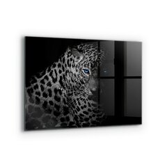 Klaasist seinaplaat pliidile, Tume panter metsik kass, 80x60cm цена и информация | Комплектующие для кухонной мебели | kaup24.ee