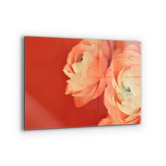 Klaasist seinaplaat pliidile, Oranž Buttercup Lill, 80x60cm цена и информация | Комплектующие для кухонной мебели | kaup24.ee