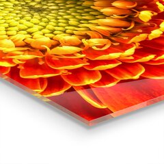 Klaasist seinaplaat pliidile, Oranž gerbera lill, 80x60cm цена и информация | Комплектующие для кухонной мебели | kaup24.ee