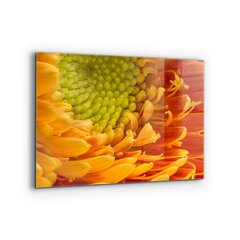 Klaasist seinaplaat pliidile, Gerbera lilleapelsin, 80x60cm цена и информация | Комплектующие для кухонной мебели | kaup24.ee