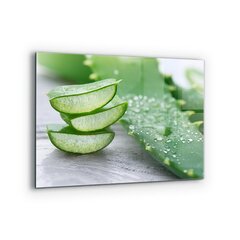 Klaasist seinaplaat pliidile, Aloe Aloe Vera taim, 80x60cm цена и информация | Комплектующие для кухонной мебели | kaup24.ee