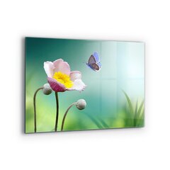 Klaasist seinaplaat pliidile, Suvine heinamaa liblikas lill, 80x60cm цена и информация | Комплектующие для кухонной мебели | kaup24.ee