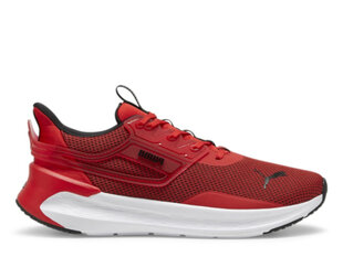 Softride symmetry puma 37958203 vīriešiem raudona men's red 37958203 цена и информация | Кроссовки для мужчин | kaup24.ee