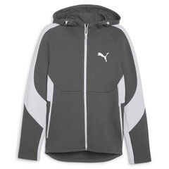 Evostripe full-zip hoodie puma 67899580 vīriešiem pilka meestele hall 67899580 hind ja info | Meeste pusad | kaup24.ee