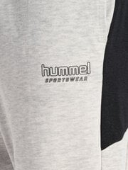 Штаны HUMMEL hmILGC BRYCE 21899051425700499019150 цена и информация | Мужская спортивная одежда | kaup24.ee