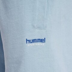 Шорты HUMMEL hmILGC SHAI 21922071885700499020538 цена и информация | Мужская спортивная одежда | kaup24.ee