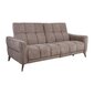 Diivan-recliner Home4you Cathy, 162x100x100 cm, pruun hind ja info | Diivanid ja diivanvoodid | kaup24.ee