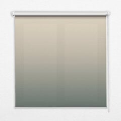 Sisemine ruloo, mis laseb valgust läbi, Fade, 60x140 cm цена и информация | Рулонные шторы | kaup24.ee