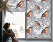 Sisemine ruloo, mis laseb valgust läbi, Värviline lind, 60x140 cm hind ja info | Rulood | kaup24.ee