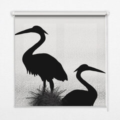 Sisemine ruloo, mis laseb valgust läbi, Herons, 60x140 cm цена и информация | Рулонные шторы | kaup24.ee