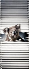 Sisemine ruloo, mis laseb valgust läbi, Koala, 60x140 cm цена и информация | Рулонные шторы | kaup24.ee