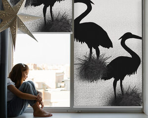 Sisemine ruloo, mis laseb valgust läbi, Herons, 80x140 cm цена и информация | Рулонные шторы | kaup24.ee