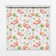 Sisemine ruloo, mis laseb valgust läbi, Flamingo ja lehed, 90x140 cm цена и информация | Рулонные шторы | kaup24.ee