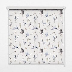 Sisemine ruloo, mis laseb valgust läbi, Herons, 100x140 cm цена и информация | Рулонные шторы | kaup24.ee