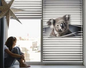 Sisemine ruloo, mis laseb valgust läbi, Koala, 110x140 cm hind ja info | Rulood | kaup24.ee