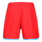 Swim short octavius reebok 71062rd vīriešiem raudona meestele punane 71062RD hind ja info | Ujumispüksid, shortsid | kaup24.ee