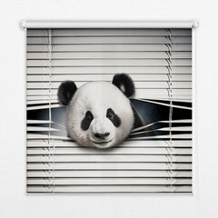 Sisemine ruloo, mis laseb valgust läbi, Panda, 130x140 cm цена и информация | Рулонные шторы | kaup24.ee