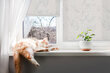 Sisemine ruloo, mis laseb valgust läbi, Valge marmor, 140x140 cm цена и информация | Rulood | kaup24.ee