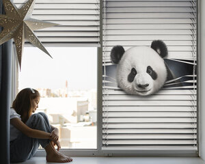 Sisemine ruloo, mis laseb valgust läbi, Panda, 140x140 cm цена и информация | Рулонные шторы | kaup24.ee