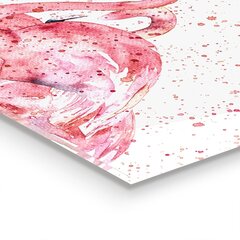 Karastatud klaasist pilt Hunnik flamingosid, 100x50 cm цена и информация | Картины, живопись | kaup24.ee