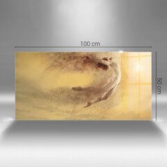 Karastatud klaasist pilt Naine dünaamilise hüppega figuuris, 100x50 cm hind ja info | Seinapildid | kaup24.ee