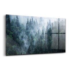 Karastatud klaasist pilt Udune mägimaastik, 100x50 cm цена и информация | Картины, живопись | kaup24.ee