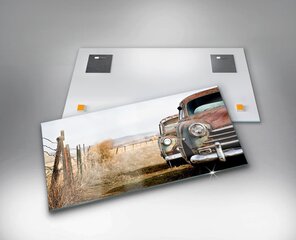 Vanad mahajäetud autod, 100x50 cm цена и информация | Картины, живопись | kaup24.ee