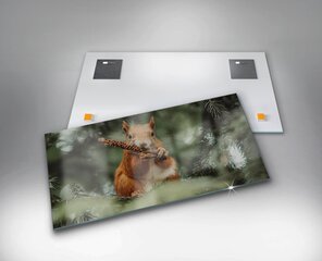 Orava metsik loodus, 100x50 cm цена и информация | Картины, живопись | kaup24.ee
