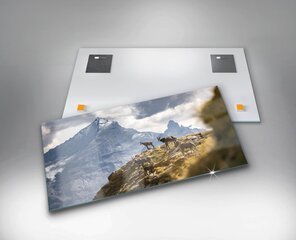 Aosta oru Itaalia kitsed, 100x50 cm hind ja info | Seinapildid | kaup24.ee