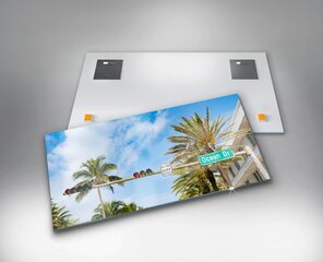 Ocean Drive'i maastik, 100x50 cm цена и информация | Картины, живопись | kaup24.ee