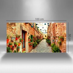 Tänav Valldemossa külas, 100x50 cm hind ja info | Seinapildid | kaup24.ee