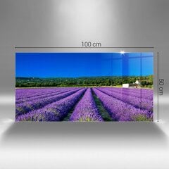 Lavendlipõld Provence'is, 100x50 cm цена и информация | Картины, живопись | kaup24.ee