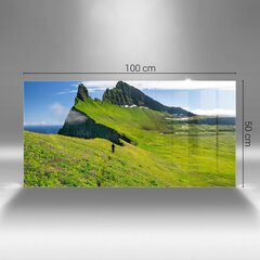 Hornstrandiri Islandi kaitseala, 100x50 cm цена и информация | Картины, живопись | kaup24.ee