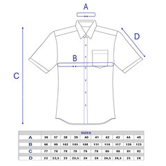 Рубашки однотонные мужские NORDIC, приталенный силуэт - С коротким рукавом 1119FK-41 цена и информация | Мужские рубашки | kaup24.ee