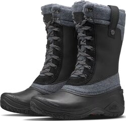 Ботинки The North Face Shellista 37 NF0A3MKR KZ2 37 цена и информация | Женские сапоги | kaup24.ee