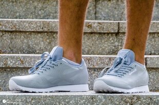 Мужская обувь Reebok 42,5 MJ BS9135 42,5 цена и информация | Кроссовки для мужчин | kaup24.ee