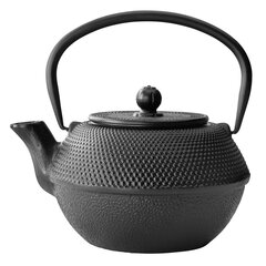 Bredemeijer teekann Teapot Jang 1,2l must + Filter G002Z цена и информация | Чайники, кофейники | kaup24.ee