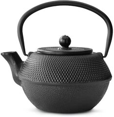 Bredemeijer teekann Teapot Jang 1,2l must + Filter G002Z цена и информация | Чайники, кофейники | kaup24.ee