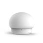 Night lamp W-008 Mushroom white цена и информация | Laualambid | kaup24.ee