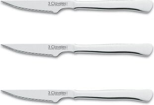 3 Claveles Meat Knife 3 Claveles Stainless steel цена и информация | Ножи и аксессуары для них | kaup24.ee