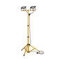 Worklight LED 2x30W 6000K with tripod Forever Light hind ja info | Rippvalgustid | kaup24.ee