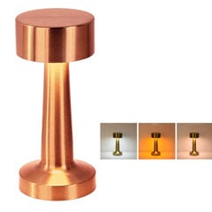 Night lamp WDL-03 wireless rose gold hind ja info | Laualambid | kaup24.ee