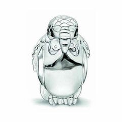 Женские бусы Thomas Sabo K0199-051-11 Серебристый (1,4 cm) S0323467 цена и информация | Украшения на шею | kaup24.ee